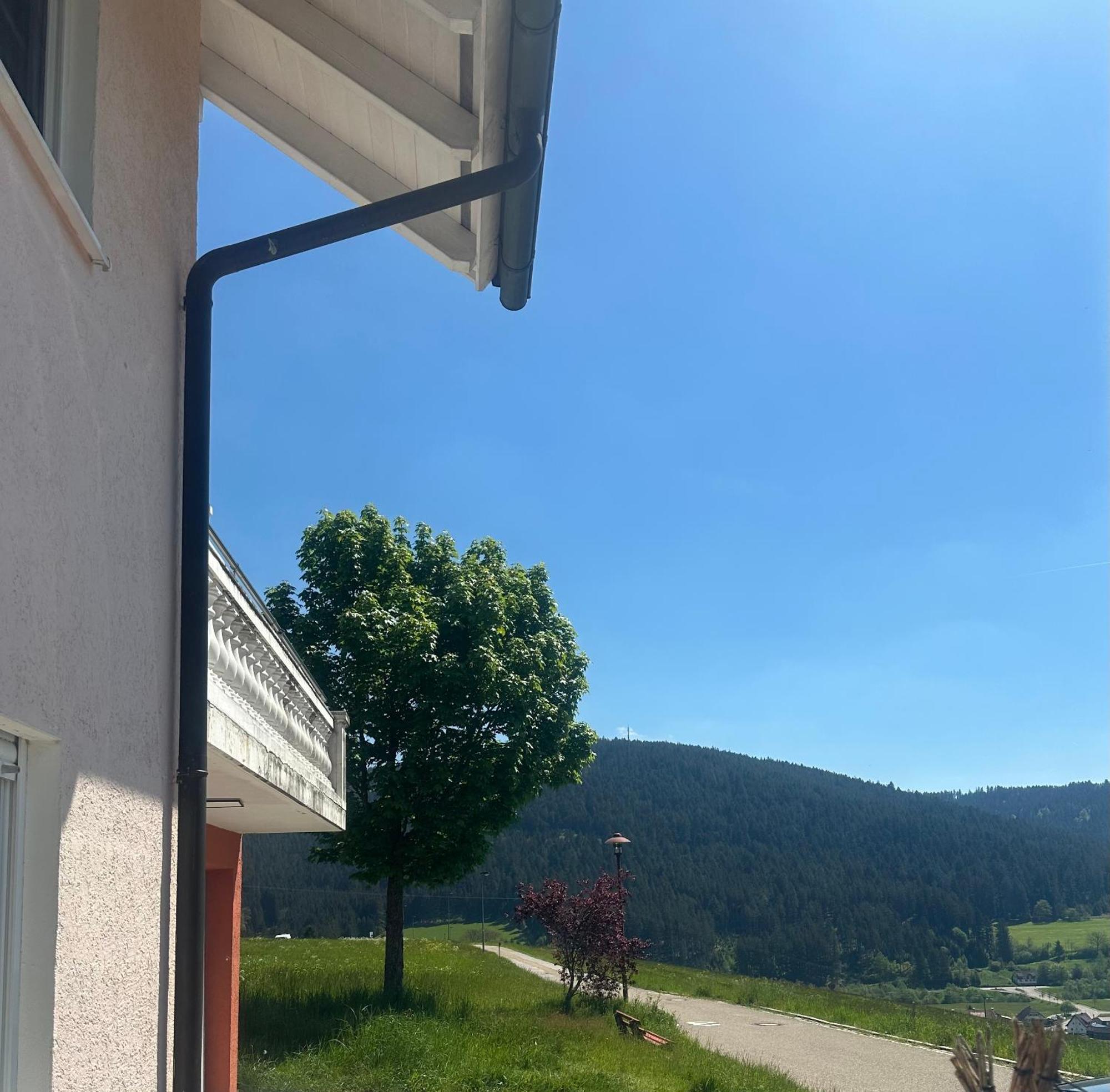 Ferienwohnung Natalie Baiersbronn Exterior foto